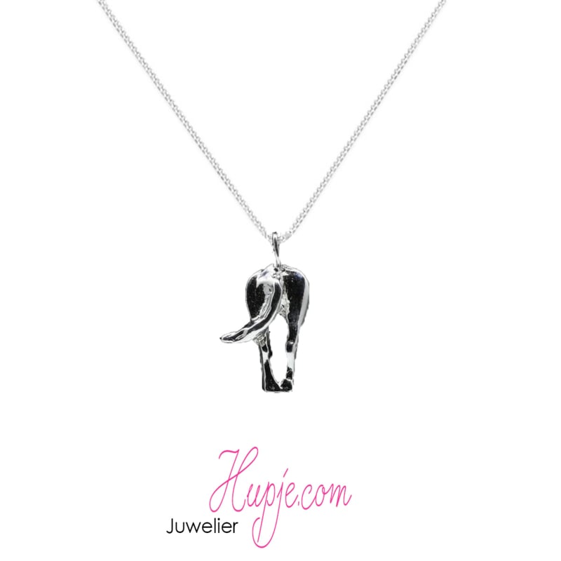 zilveren ketting achterkant paard